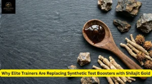 Why Elite Trainers Are Replacing Synthetic Test Boosters with Shilajit Gold